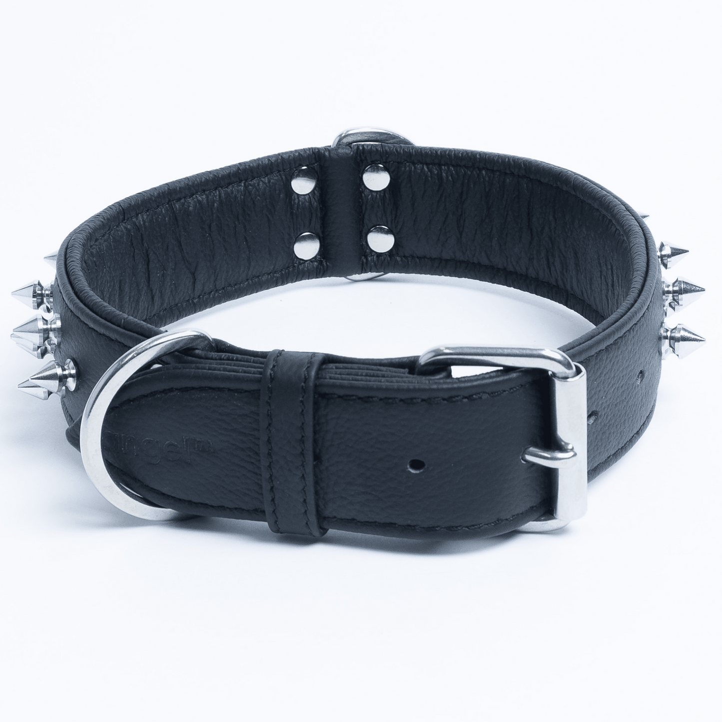 Amsterdam Spiked Dog Collars: Elevate Your Dog's Style