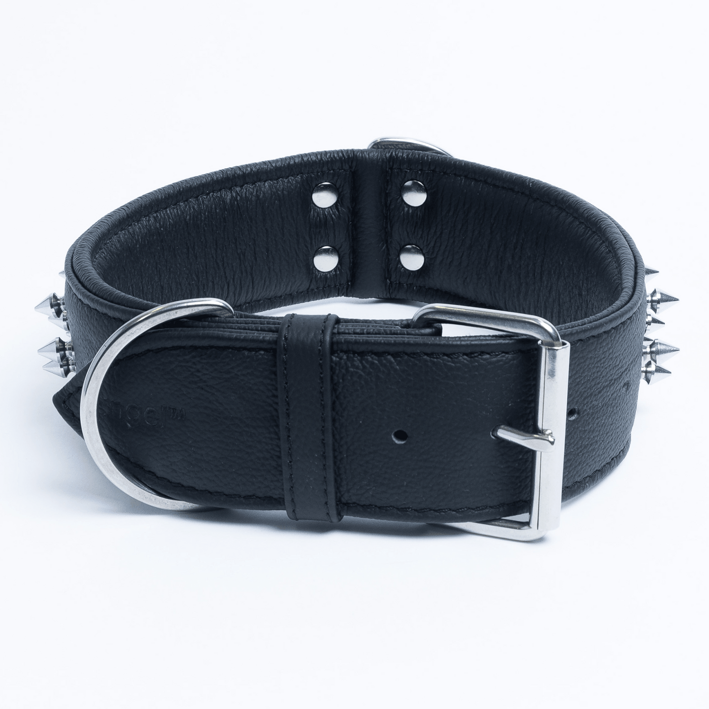 Amsterdam Spiked Dog Collars: Elevate Your Dog's Style