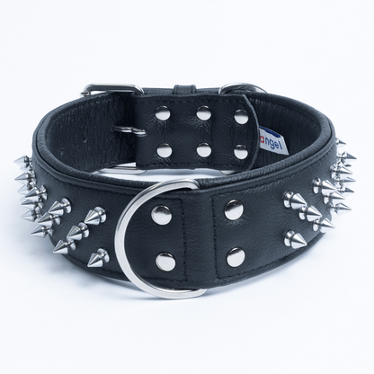 Amsterdam Spiked Dog Collars: Elevate Your Dog's Style