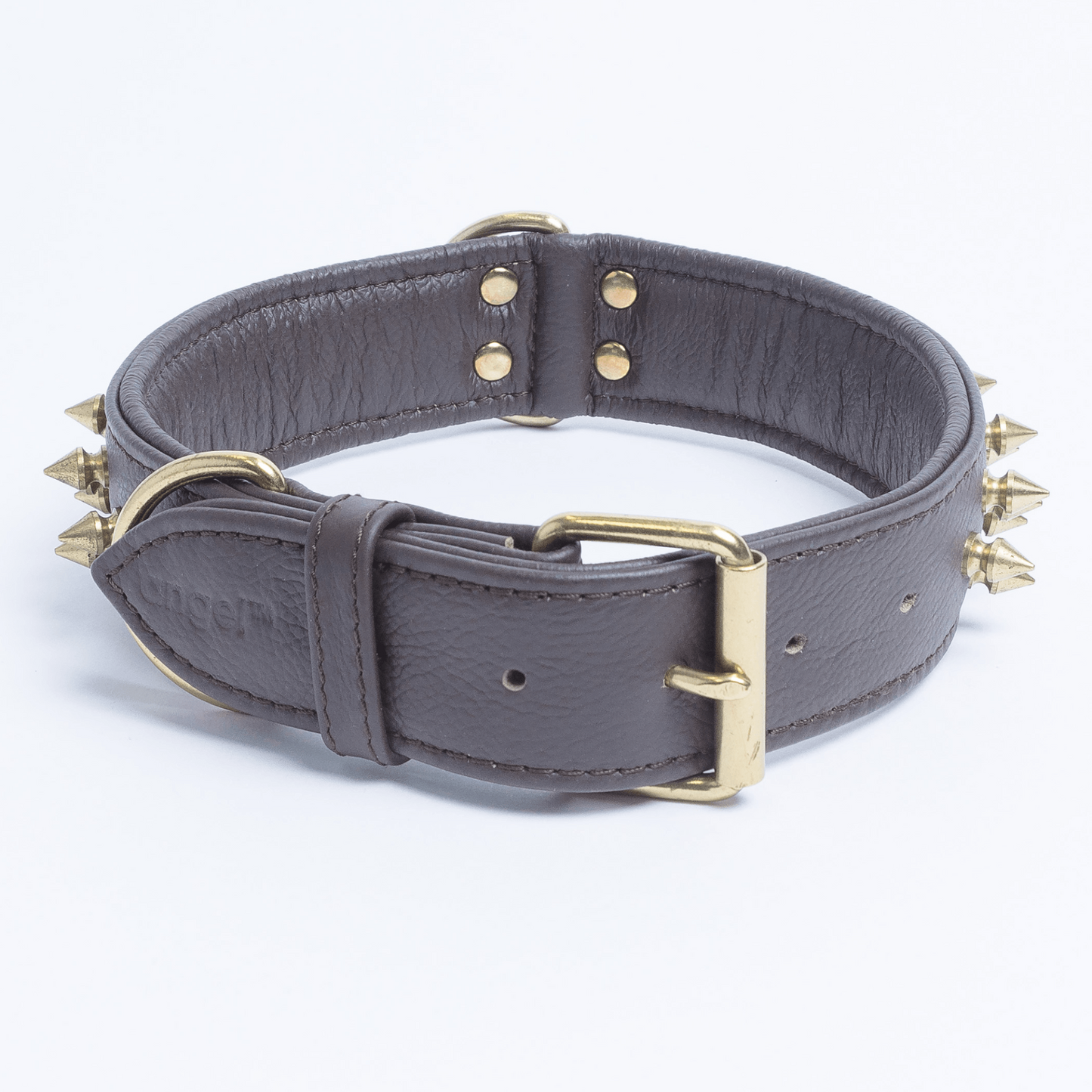 Amsterdam Spiked Dog Collars: Elevate Your Dog's Style