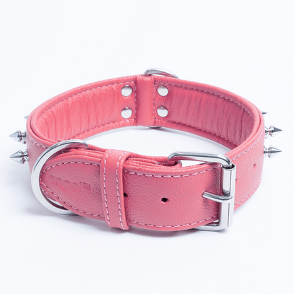 Amsterdam Spiked Dog Collars: Elevate Your Dog's Style