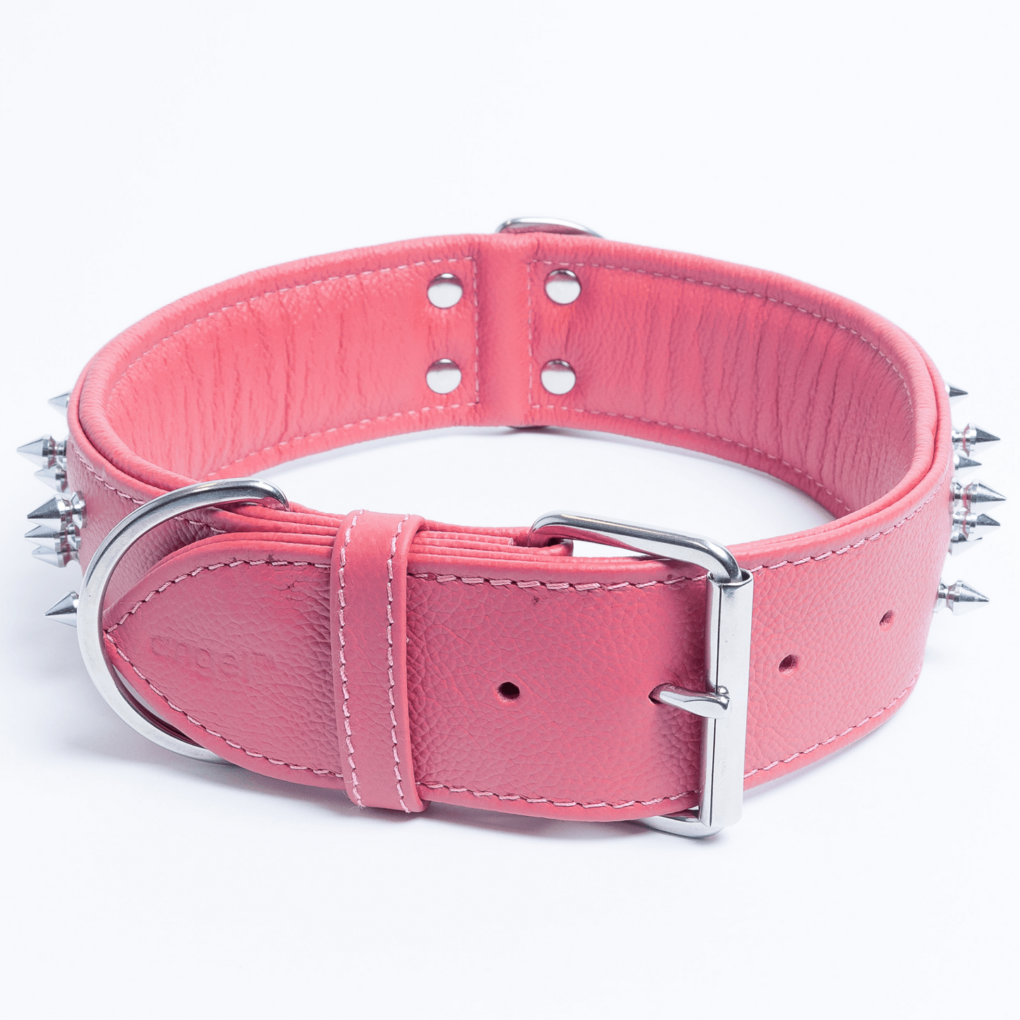 Amsterdam Spiked Dog Collars: Elevate Your Dog's Style