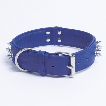 Amsterdam Spiked Dog Collars: Elevate Your Dog's Style