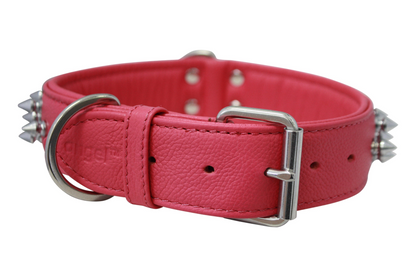 Amsterdam Spiked Dog Collars: Elevate Your Dog's Style