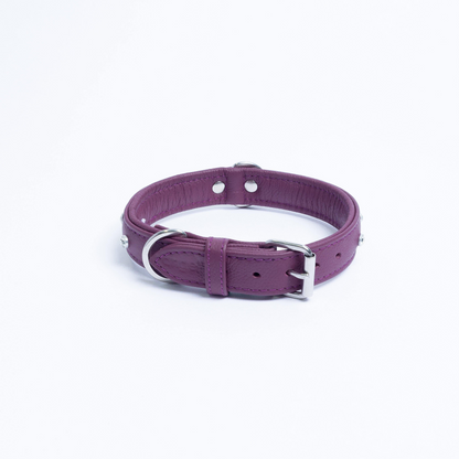 Collar para perros Atenas (rosa | morado) 