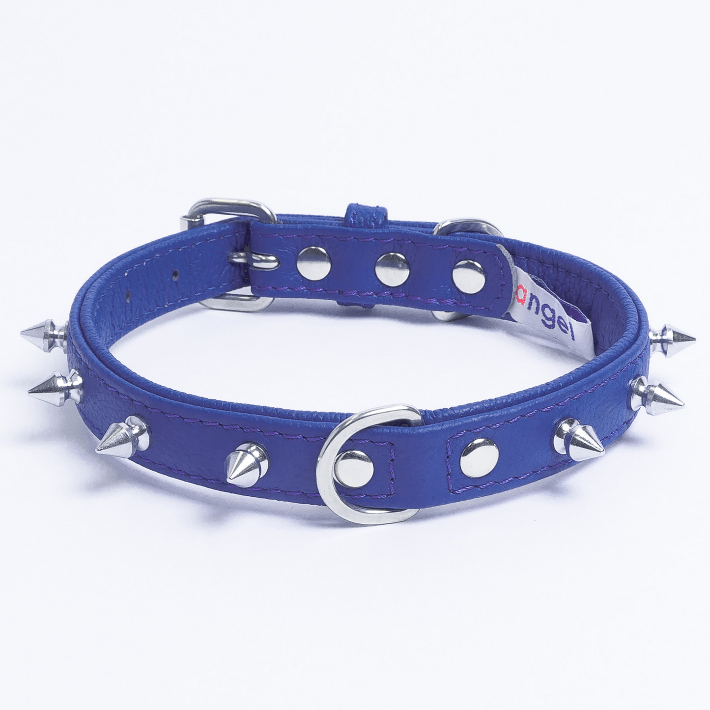 Rotterdam Spiked Dog Collar: Make a Bold Statement with Attitude