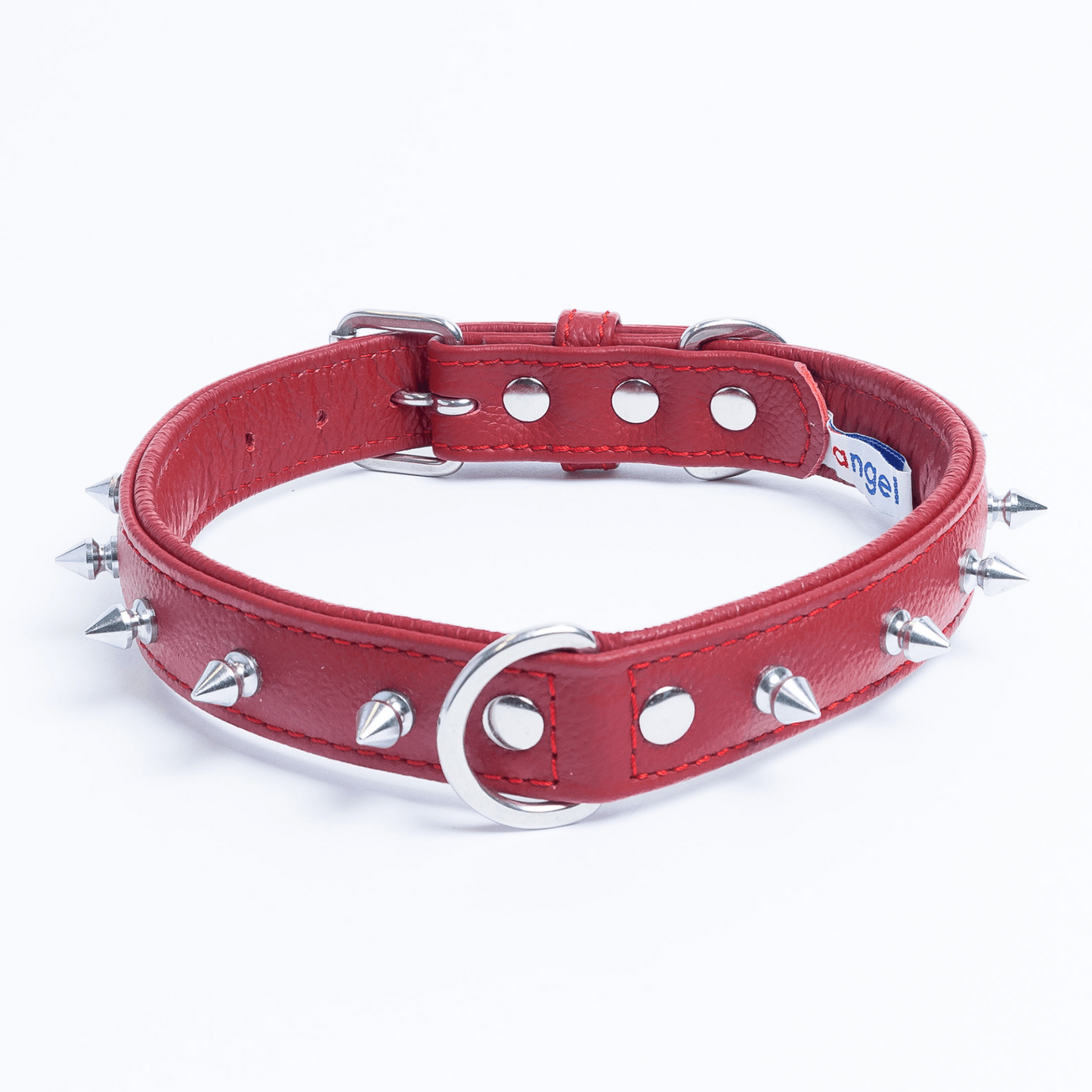 Rotterdam Spiked Dog Collar: Make a Bold Statement with Attitude