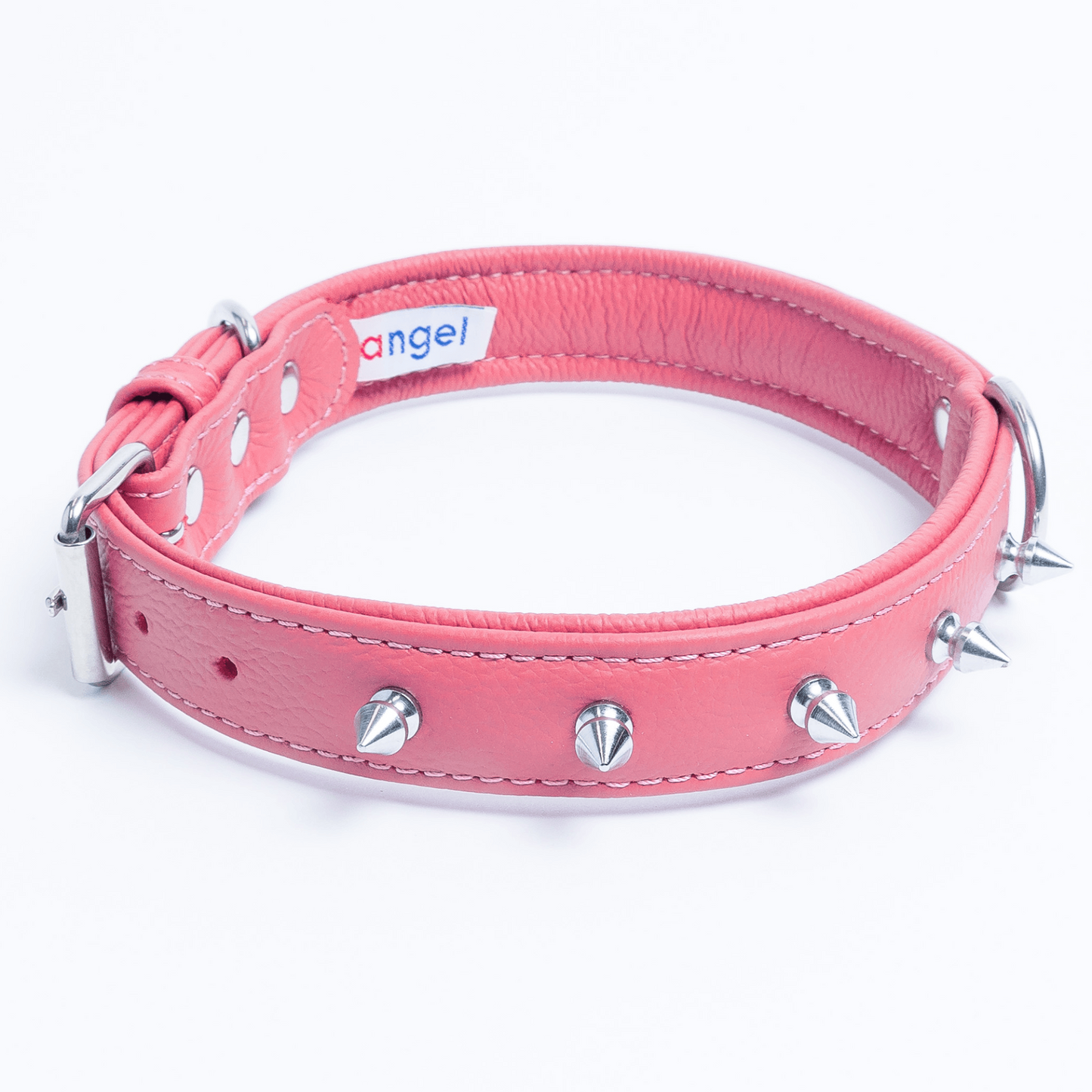 Rotterdam Spiked Dog Collar: Make a Bold Statement with Attitude