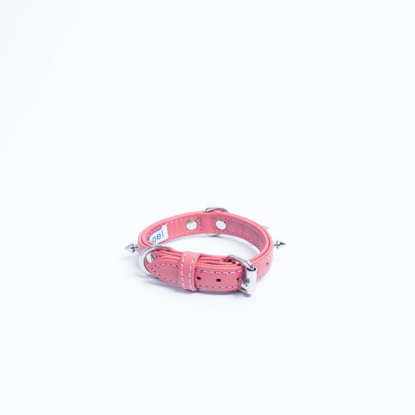 Rotterdam Spiked Dog Collar: Make a Bold Statement with Attitude