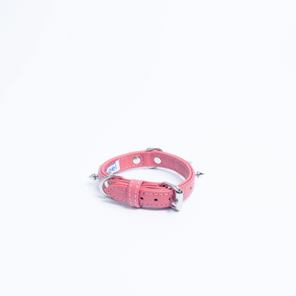 Rotterdam Spiked Dog Collar: Make a Bold Statement with Attitude