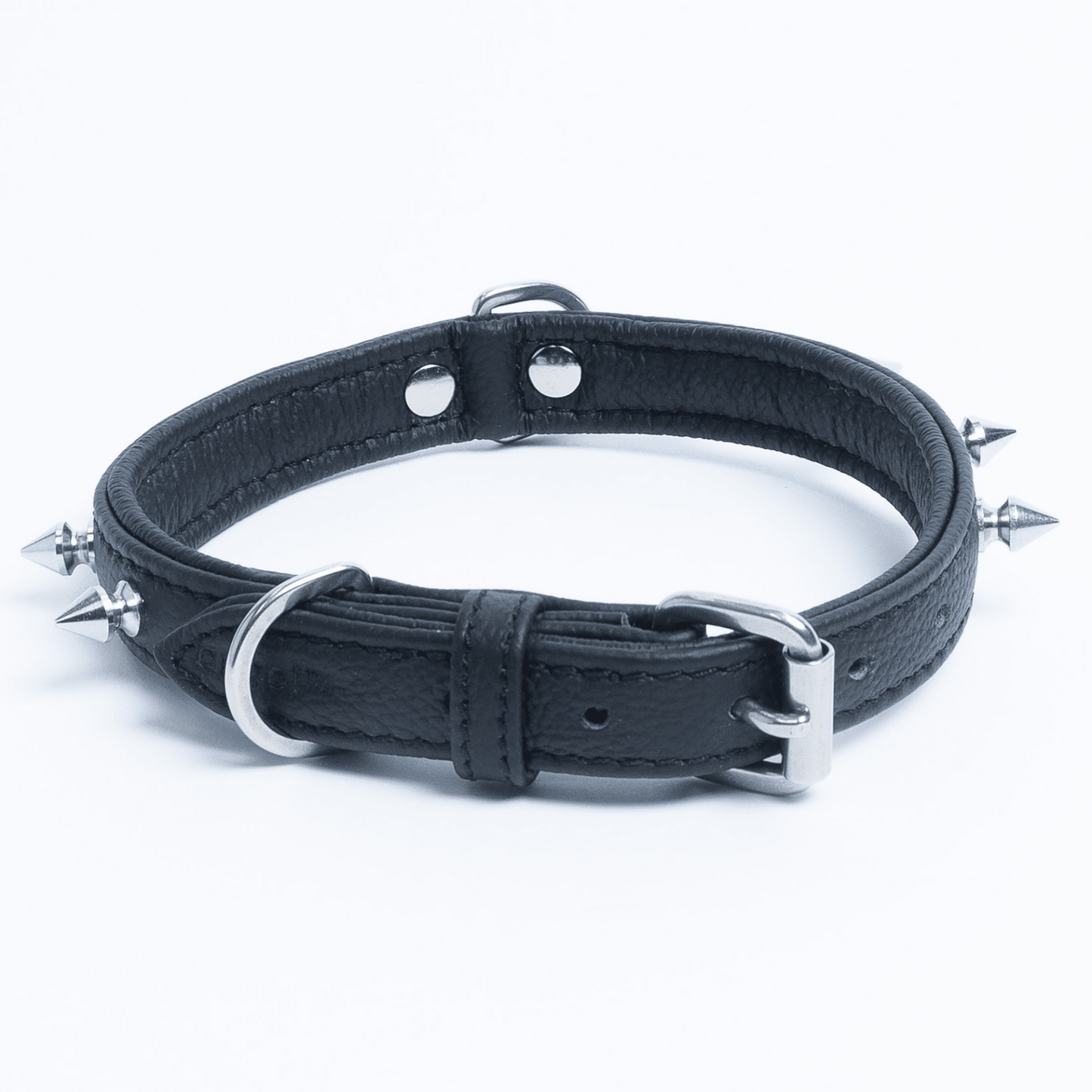 Rotterdam Spiked Dog Collar: Make a Bold Statement with Attitude