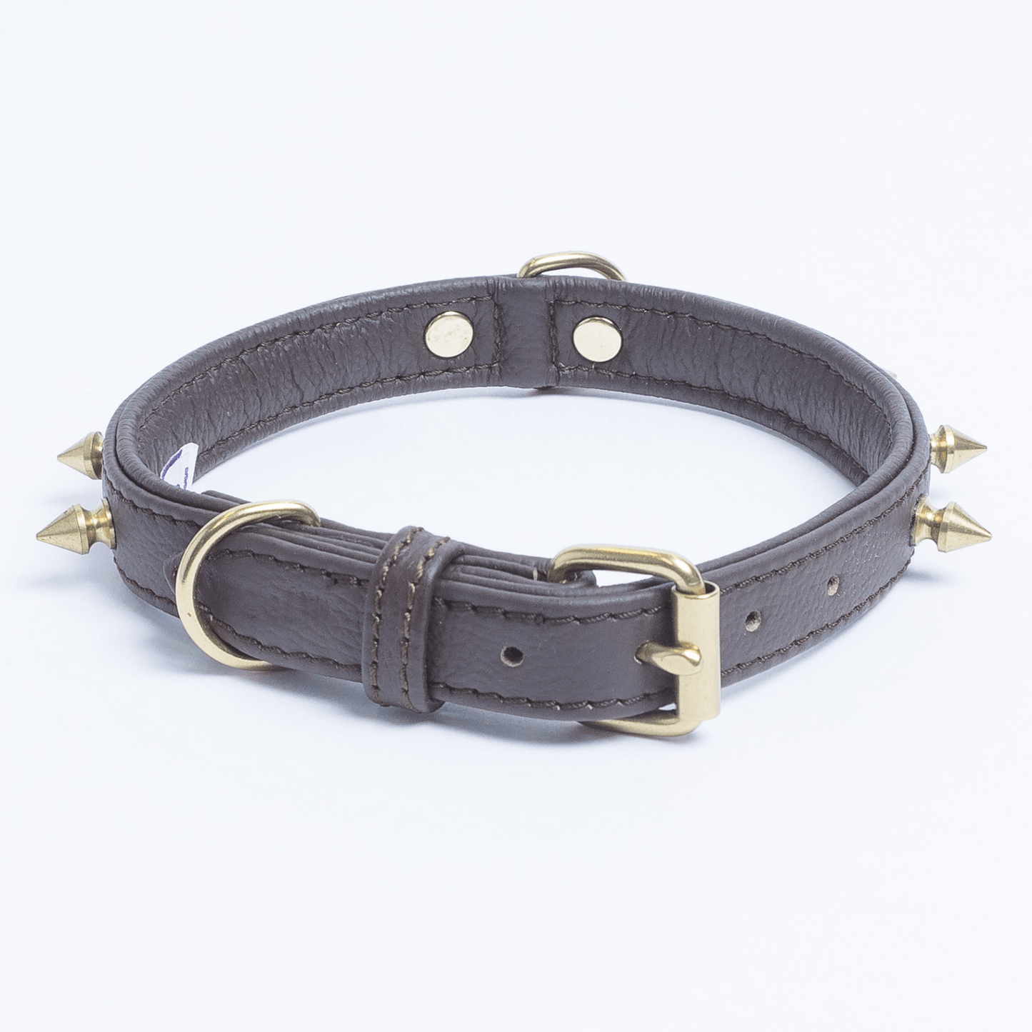 Rotterdam Spiked Dog Collar: Make a Bold Statement with Attitude