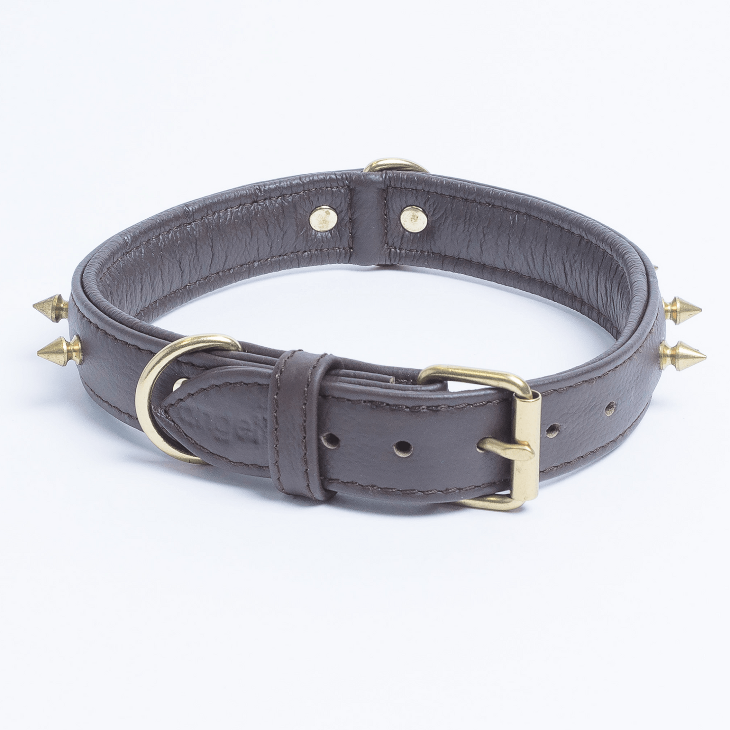 Rotterdam Spiked Dog Collar: Make a Bold Statement with Attitude