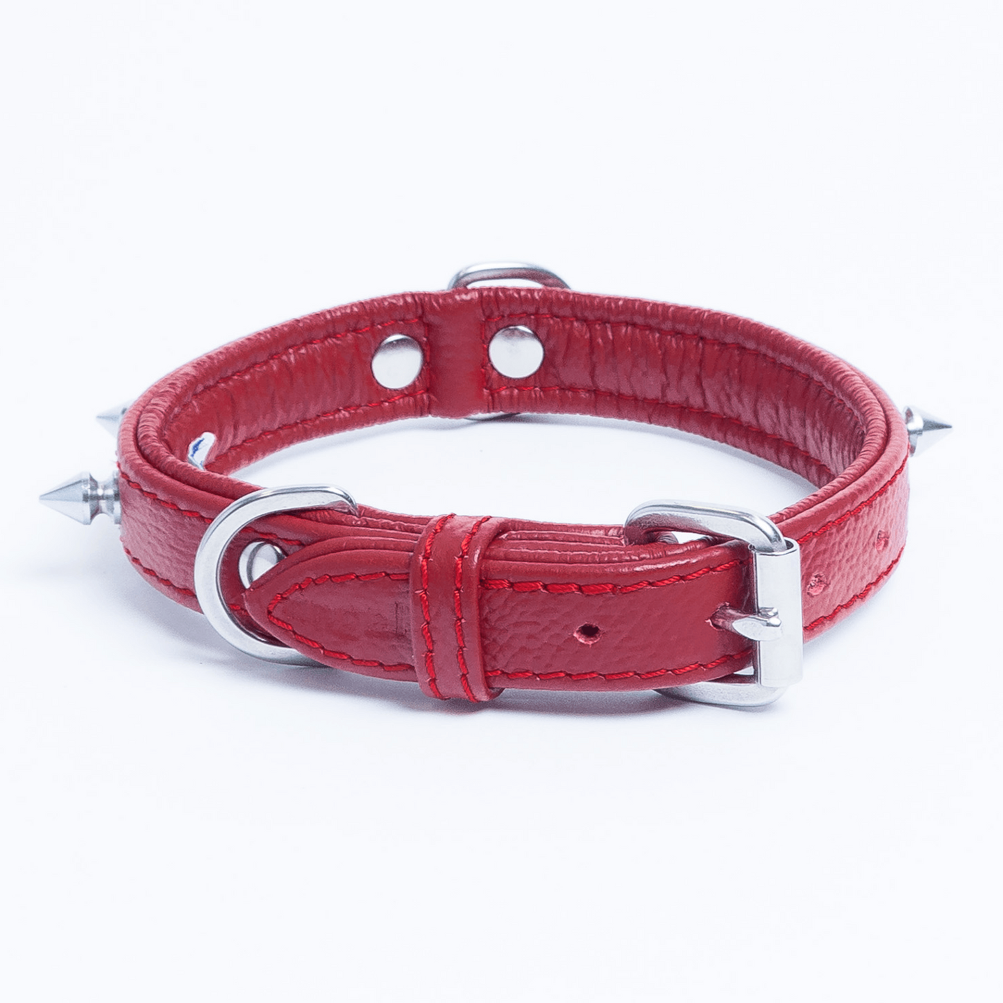 Rotterdam Spiked Dog Collar: Make a Bold Statement with Attitude