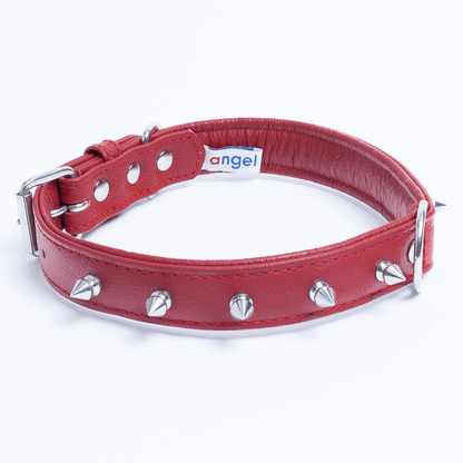 Rotterdam Spiked Dog Collar: Make a Bold Statement with Attitude