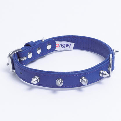 Rotterdam Spiked Dog Collar: Make a Bold Statement with Attitude