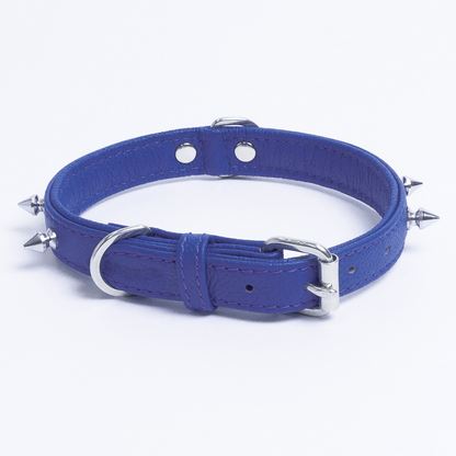 Rotterdam Spiked Dog Collar: Make a Bold Statement with Attitude