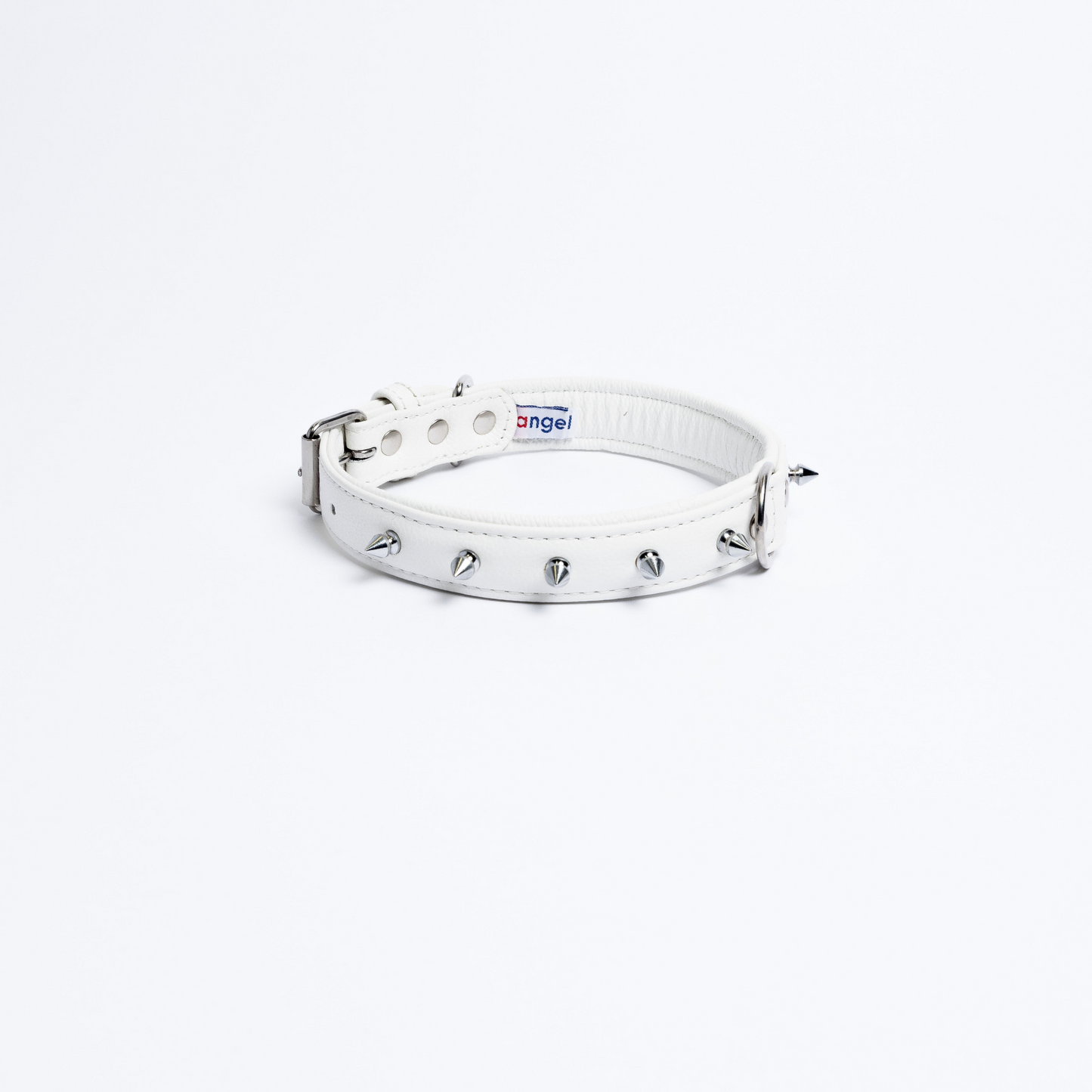 Rotterdam Spiked Dog Collar: Make a Bold Statement with Attitude