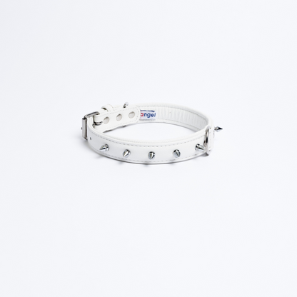 Rotterdam Spiked Dog Collar: Make a Bold Statement with Attitude