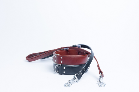 Dallas Dog Leash: Crafted from Premium Argentinean Leather