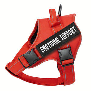 c37f4e1566c4ed87cfb278225a9ce88a