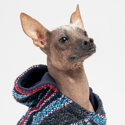 Poncho para perros Baja - Azul marino