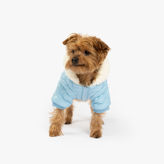 Aspen Dog Jacket | Silver Paw