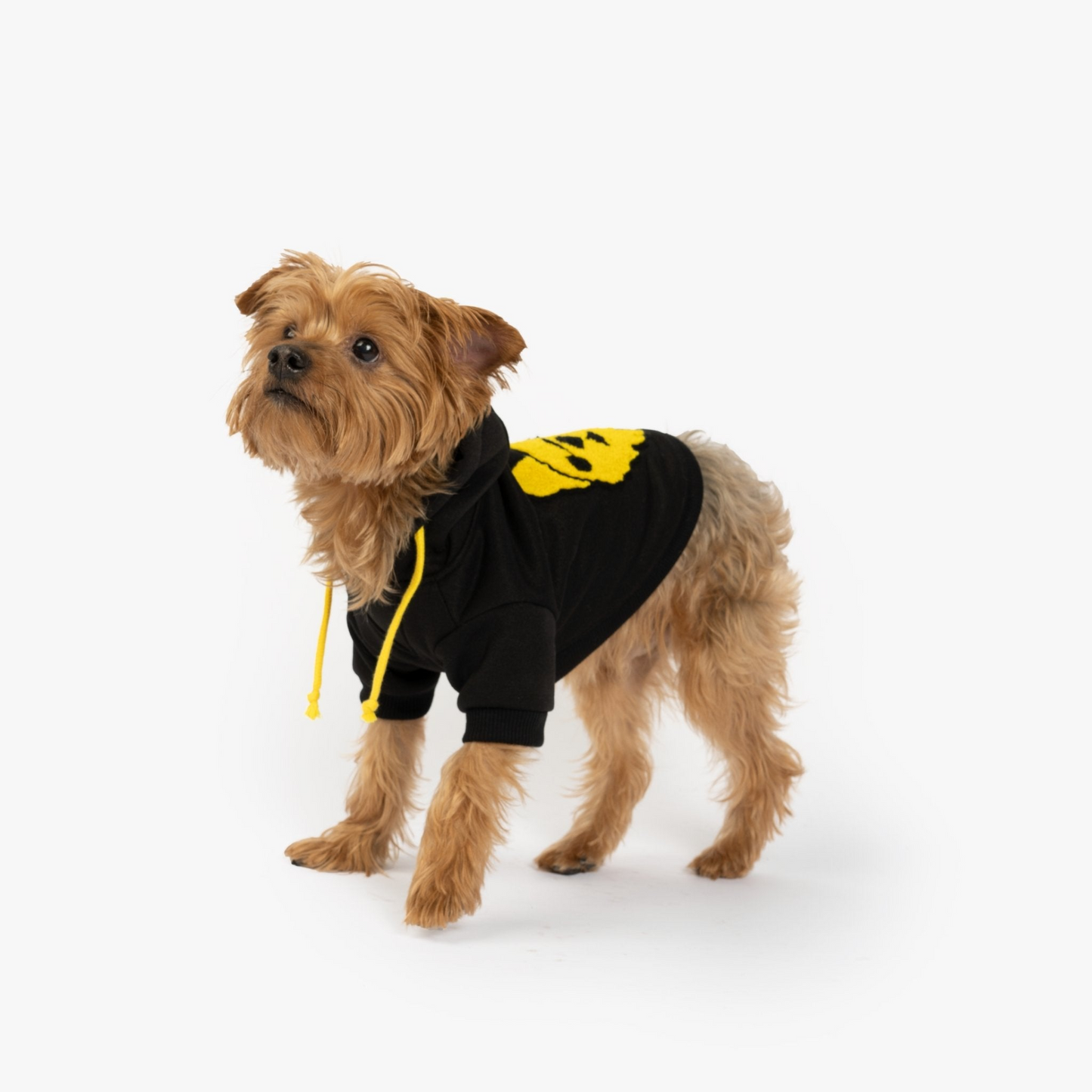 Connor Dog Hoodie - Perfect Style For Your Pup