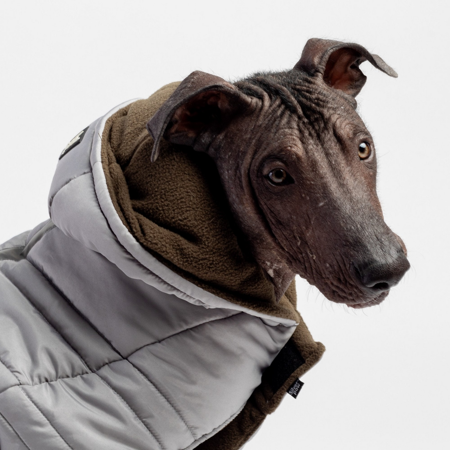 Chaqueta para perro Jackson - Gris