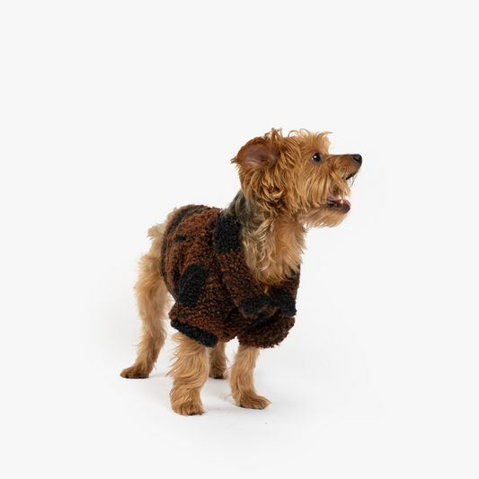 Humpfrey Dog Jacket | Silver Paw