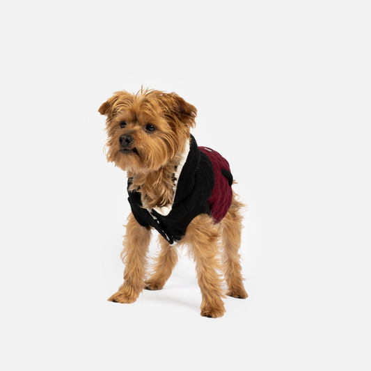 Jasper Dog Jacket | Silver Paw
