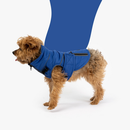 Monty Dog Water Resistant Jacket