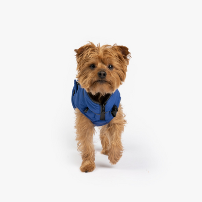 Monty Dog Water Resistant Jacket