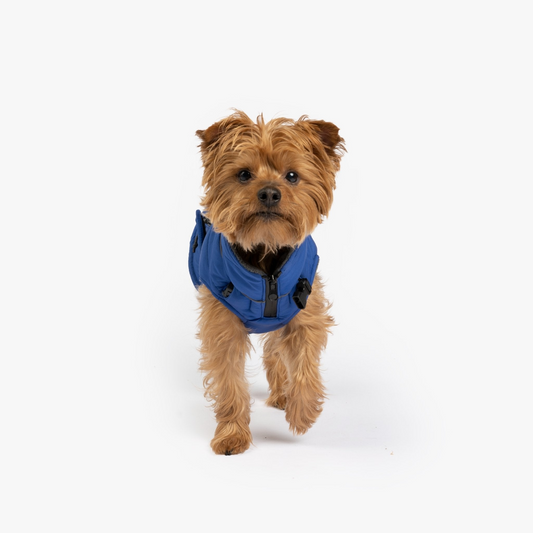 Monty Dog Water Resistant Jacket | Silver Paw