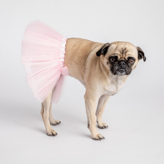 Pink Tutu Costume