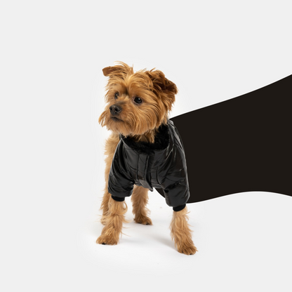 Chaqueta para perro Phoenix - Negro