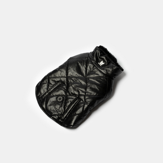 Phoenix Dog Jacket - Black