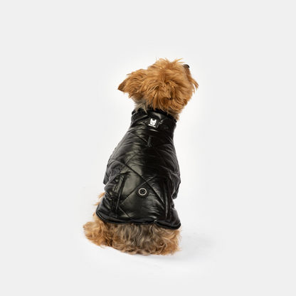 Chaqueta para perro Phoenix - Negro