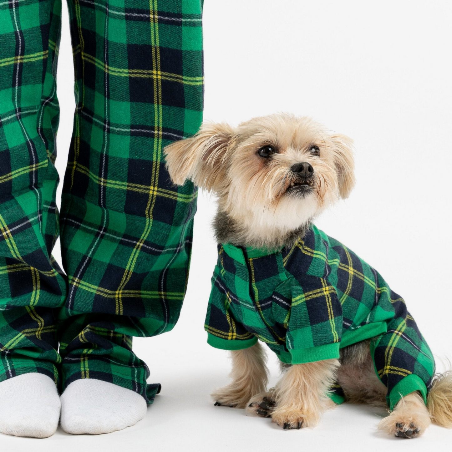 Pijama para perro a cuadros - Verde