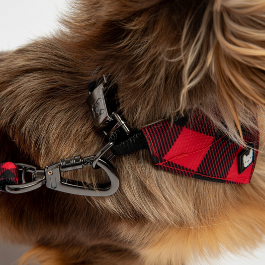 Poplin Bandana Dog Collar - Red Plaid | Silver Paw