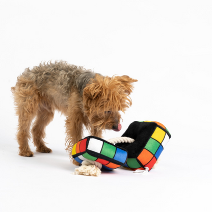 Rubix Cube Dog Toy