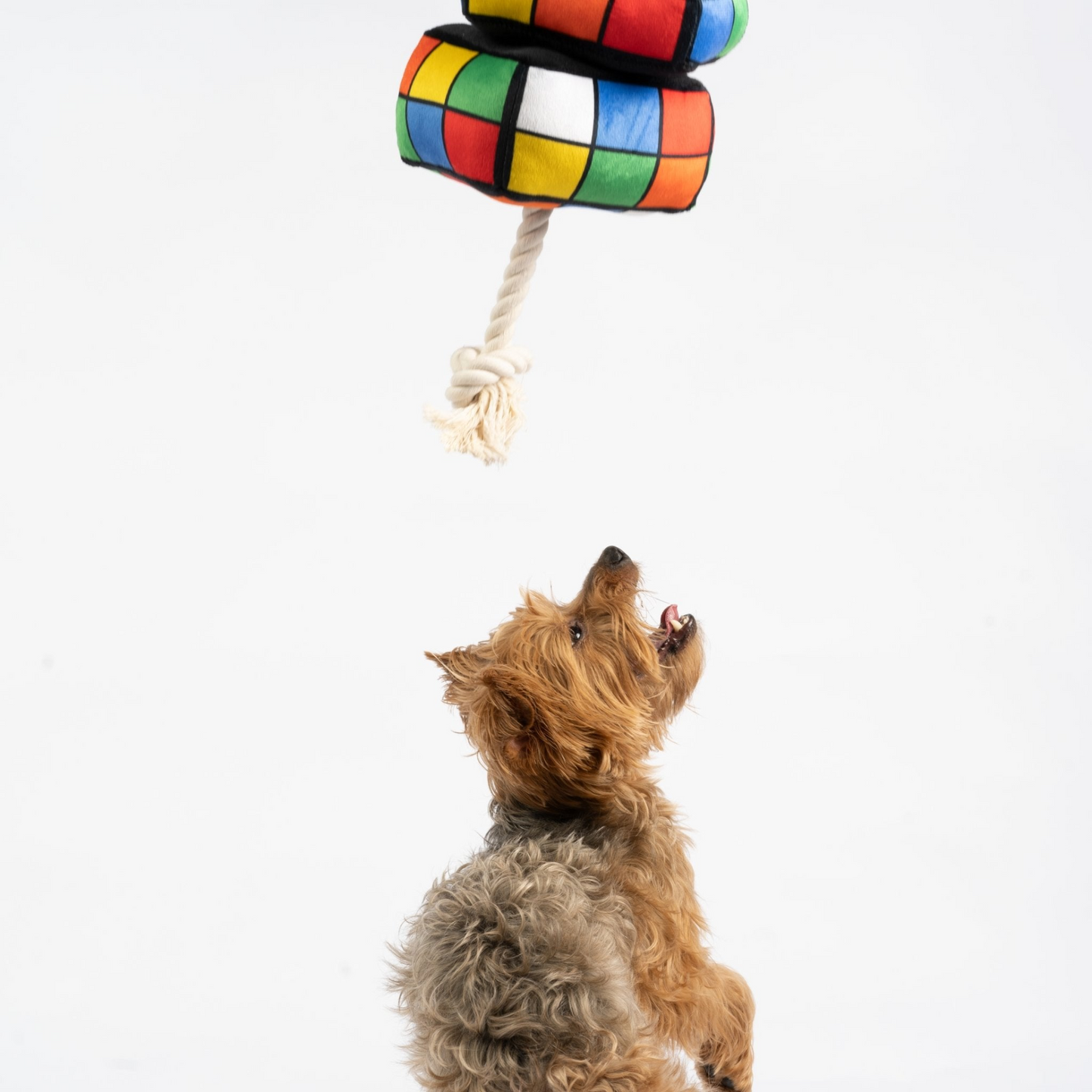 Rubix Cube Dog Toy