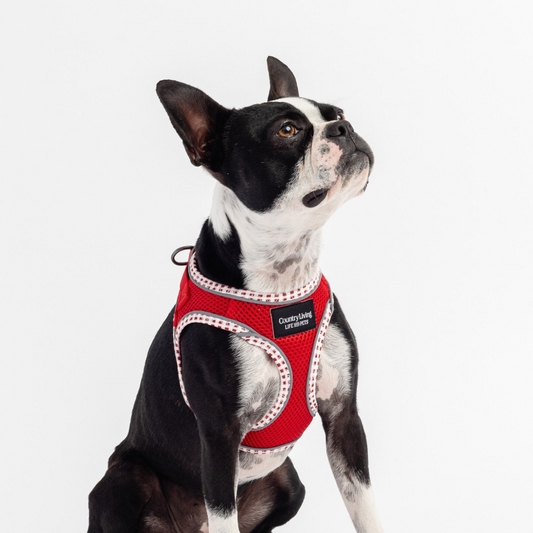 Arnés para perros con paso - Rojo