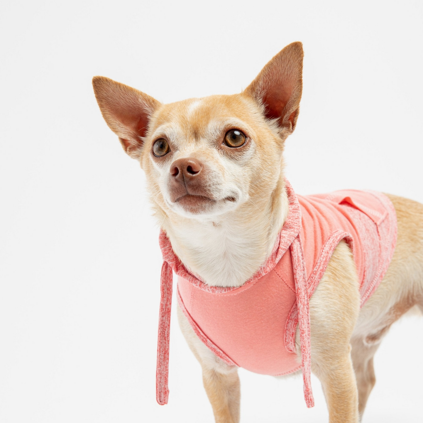 Sudadera con capucha para perros Urban Fit - Rosa