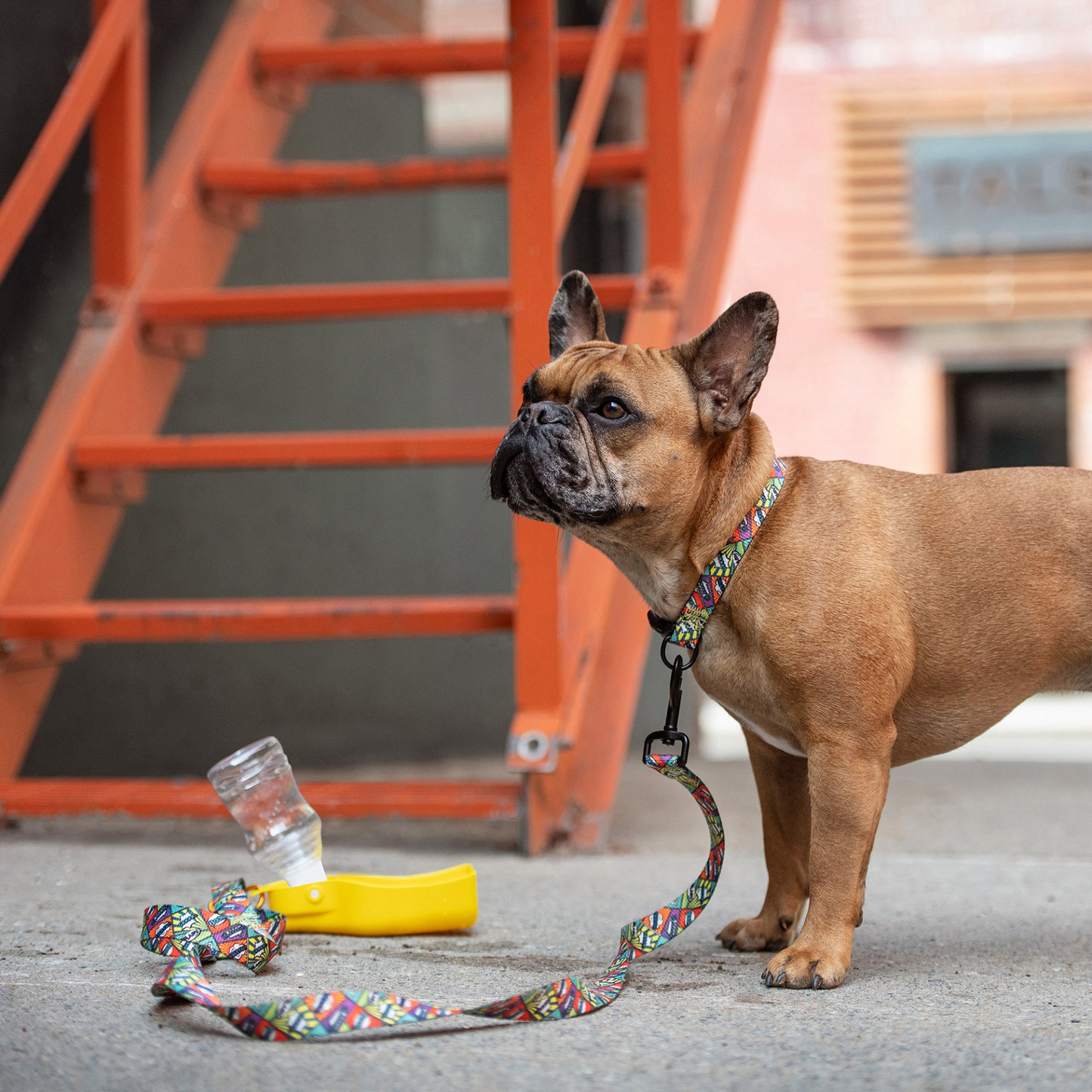 Pet Water Bottle With Foldout Bowl