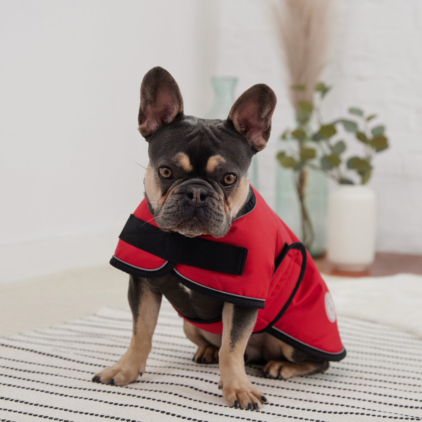 Manténgase seco y cómodo con la chaqueta tipo manta GF PET en rojo vibrante