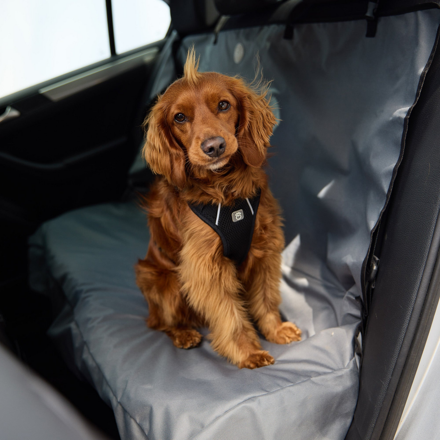 Dog Travel Harness - Black