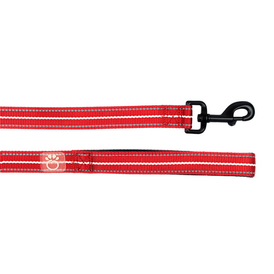 Reflective Dog Leash - Red