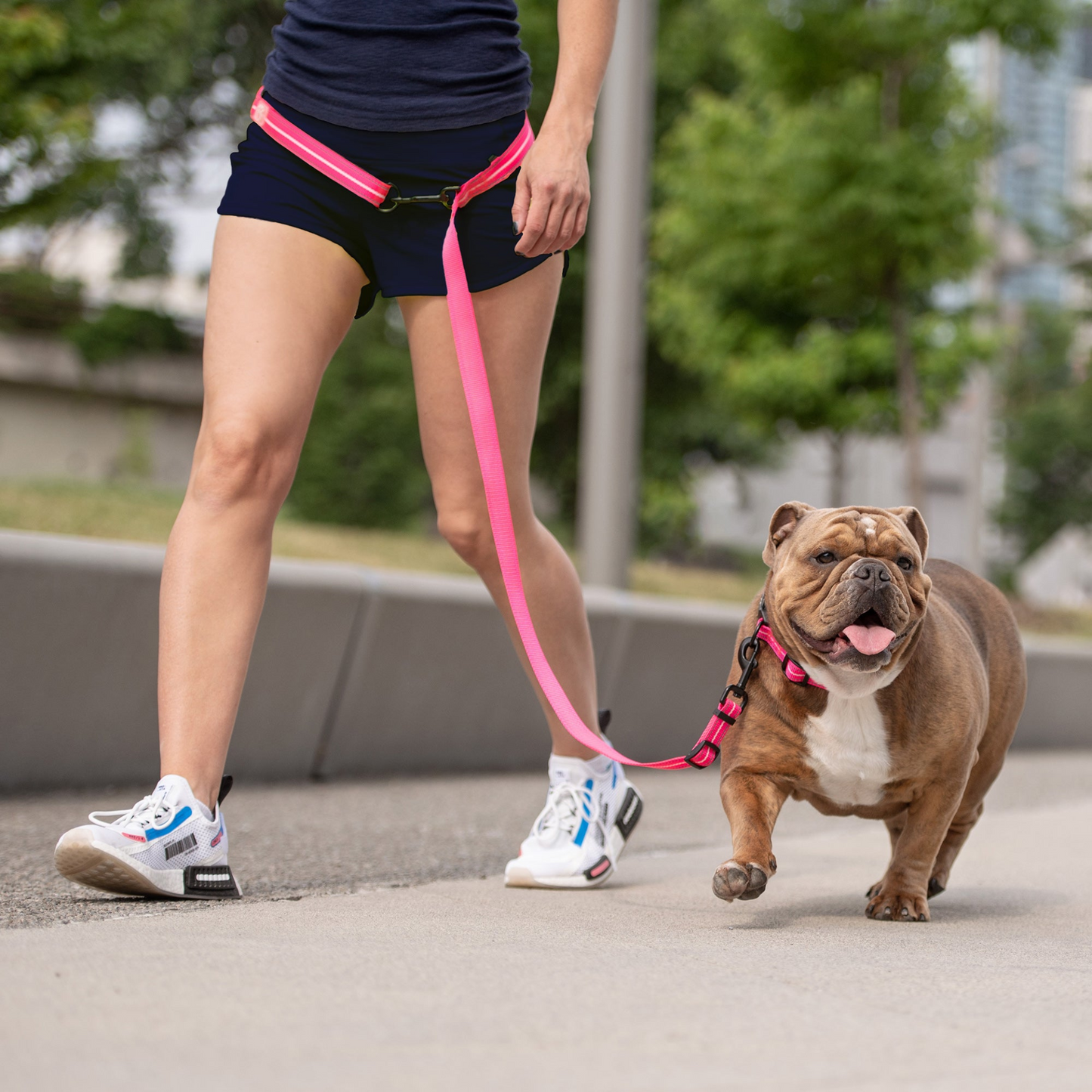 Reflective Dog Leash - Neon Pink