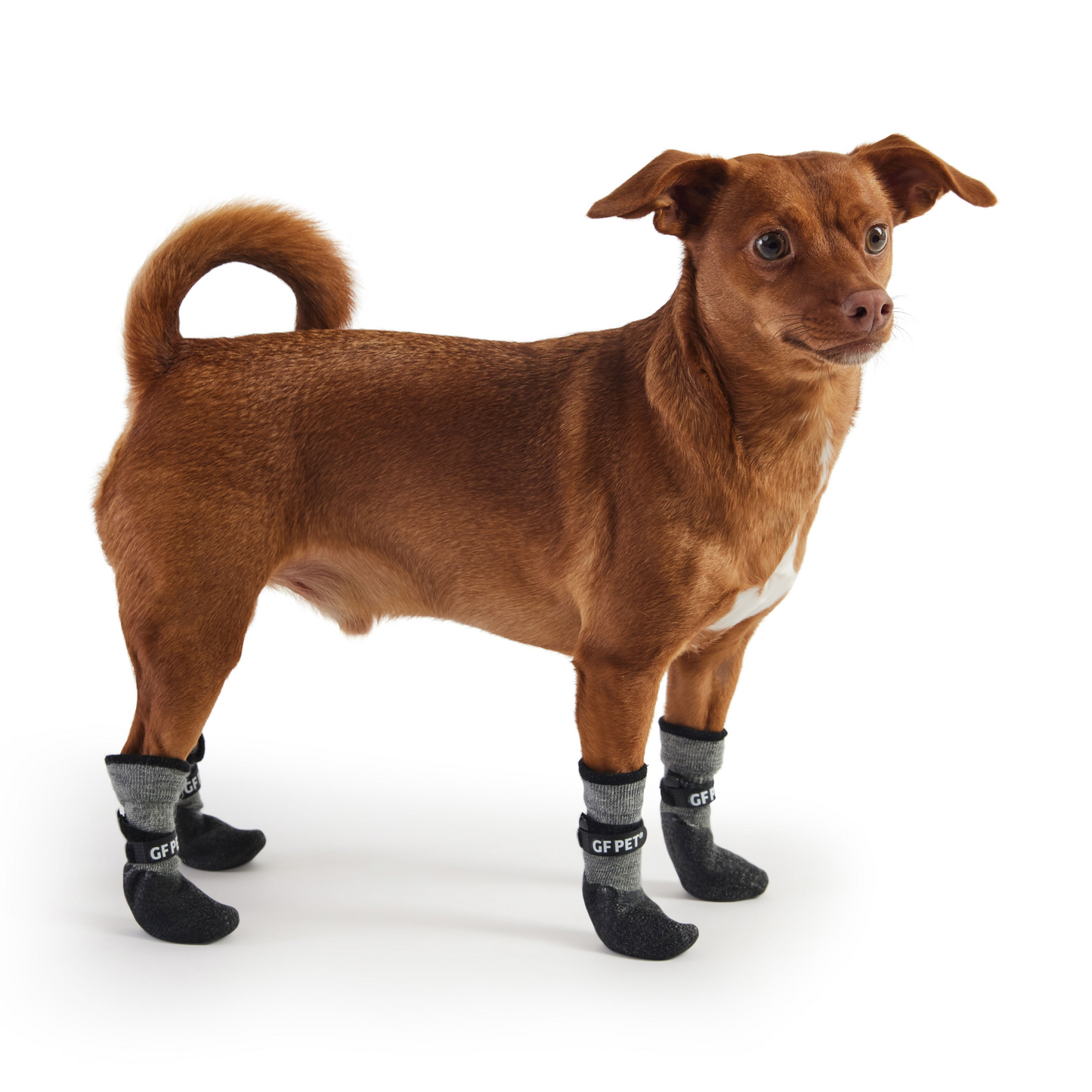 All Terrain Dog Boots - Charcoal